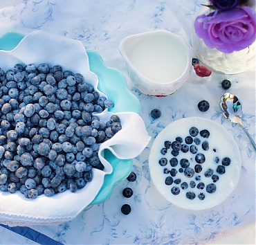 Tejmentes joghurt - 